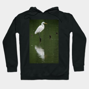 Great Egret Hoodie